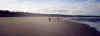 BeachCycling.jpg (13622 bytes)