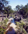 QueenslandCreek.jpg (68096 bytes)